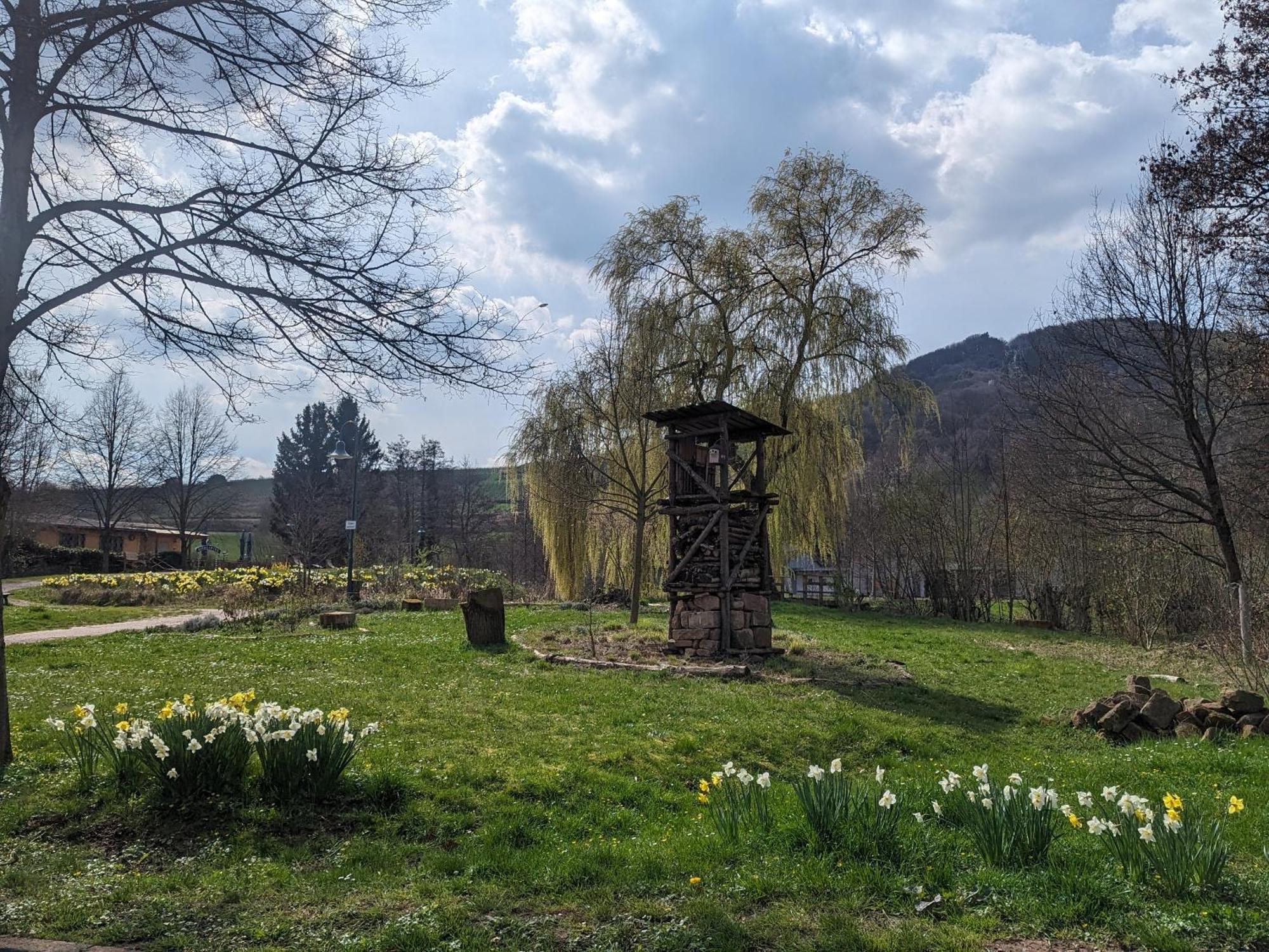 Ferienhaus Am Park Villa Klingenmünster Buitenkant foto