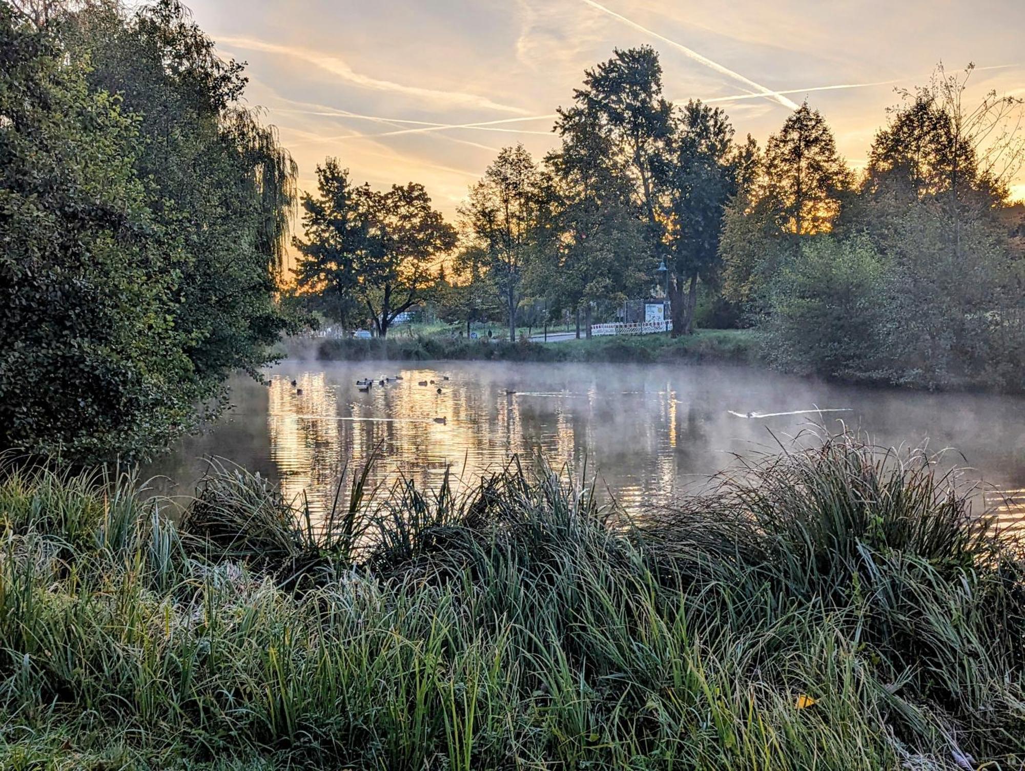 Ferienhaus Am Park Villa Klingenmünster Buitenkant foto